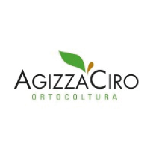 Agizza